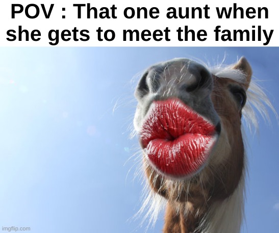 I got lipstick all over my cheek now :,) | POV : That one aunt when she gets to meet the family | image tagged in memes,relatable,family,funny,front page plz,upvote if you agree jk | made w/ Imgflip meme maker
