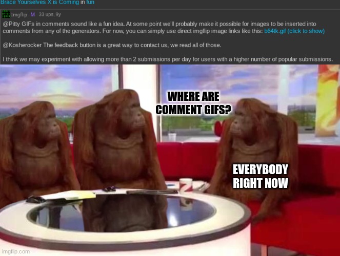 is imgflip even updated anymore? | WHERE ARE COMMENT GIFS? EVERYBODY RIGHT NOW | image tagged in where monkey,imgflip | made w/ Imgflip meme maker