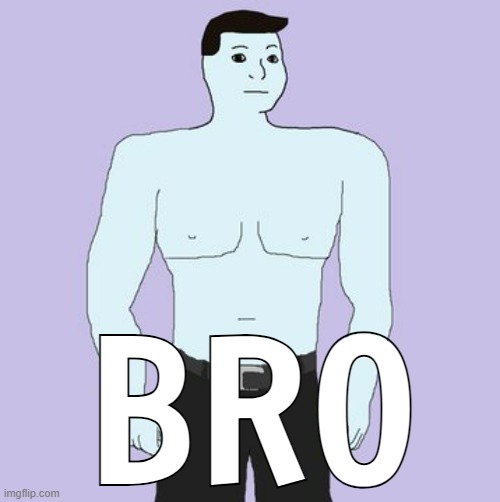 BRO | image tagged in calm | made w/ Imgflip meme maker