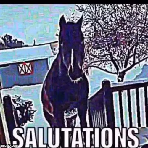 salutations | image tagged in salutations | made w/ Imgflip meme maker