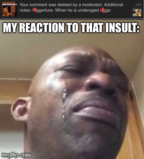 Damn you realy hit me right in the soul with that insult | MY REACTION TO THAT INSULT: | image tagged in wearing sunglasses crying | made w/ Imgflip meme maker