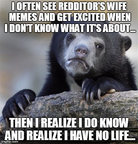 Confession Bear | I OFTEN SEE REDDITOR'S WIFE MEMES AND GET EXCITED WHEN I DON'T KNOW WHAT IT'S ABOUT... THEN I REALIZE I DO KNOW AND REALIZE I HAVE NO LIFE.. | image tagged in memes,confession bear | made w/ Imgflip meme maker