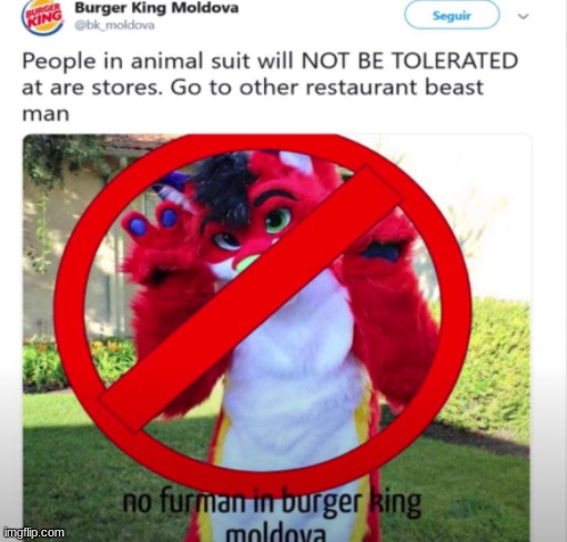 absolute chad | image tagged in anti furry | made w/ Imgflip meme maker