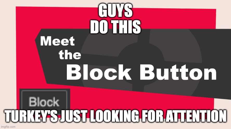 skill issue | GUYS
DO THIS; TURKEY'S JUST LOOKING FOR ATTENTION | image tagged in meet the block button | made w/ Imgflip meme maker