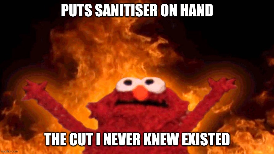 elmo fire | PUTS SANITISER ON HAND; THE CUT I NEVER KNEW EXISTED | image tagged in elmo fire | made w/ Imgflip meme maker