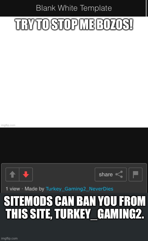 SITEMODS CAN BAN YOU FROM THIS SITE, TURKEY_GAMING2. | image tagged in imgflip | made w/ Imgflip meme maker