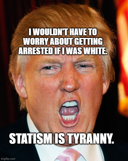 Donald Trump I Will Duck You Up | I WOULDN'T HAVE TO WORRY ABOUT GETTING ARRESTED IF I WAS WHITE. STATISM IS TYRANNY. | image tagged in donald trump i will duck you up | made w/ Imgflip meme maker