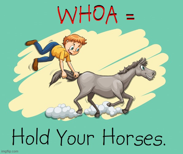 IDIOMS for IDIOTS #29 | image tagged in vince vance,whoa,memes,idiom,hold your horses,comics/cartoons | made w/ Imgflip meme maker