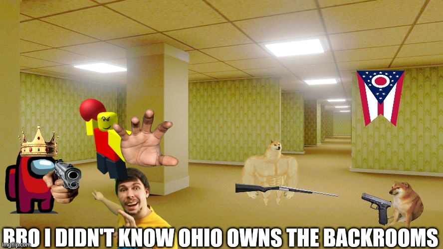 BRO I DIDN'T KNOW OHIO OWNS THE BACKROOMS | image tagged in the backrooms | made w/ Imgflip meme maker