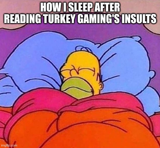 Homer Simpson sleeping peacefully | HOW I SLEEP AFTER READING TURKEY GAMING'S INSULTS | image tagged in homer simpson sleeping peacefully | made w/ Imgflip meme maker