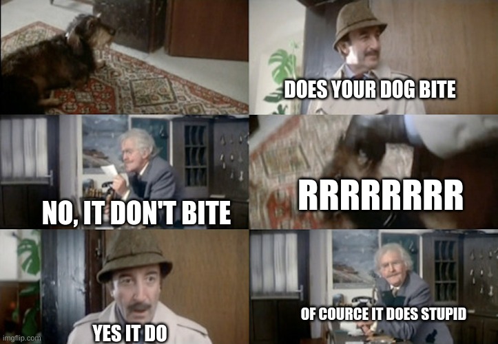 Does Your Dog Bite? | DOES YOUR DOG BITE; RRRRRRRR; NO, IT DON'T BITE; OF COURCE IT DOES STUPID; YES IT DO | image tagged in does your dog bite | made w/ Imgflip meme maker