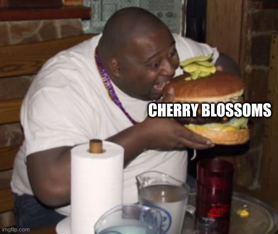 Fat guy eating burger | CHERRY BLOSSOMS | image tagged in fat guy eating burger | made w/ Imgflip meme maker