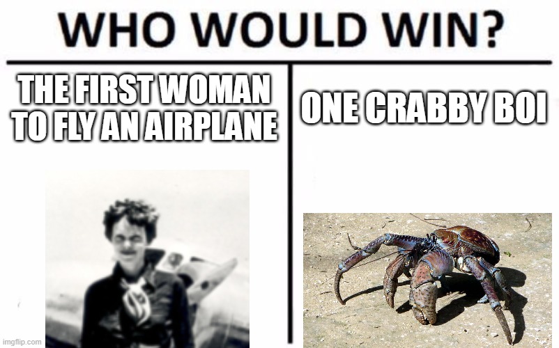 i refuse to give context for this meme. | THE FIRST WOMAN TO FLY AN AIRPLANE; ONE CRABBY BOI | image tagged in memes,who would win,amelia earhart,coconut crab,crab | made w/ Imgflip meme maker