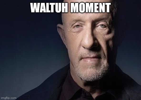 Waltuh | WALTUH MOMENT | image tagged in waltuh | made w/ Imgflip meme maker