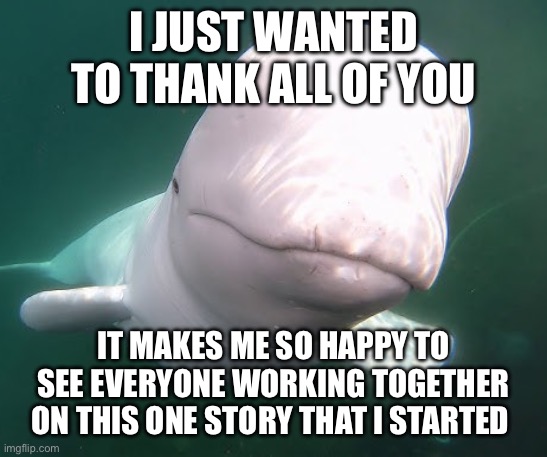Beluga stare | I JUST WANTED TO THANK ALL OF YOU; IT MAKES ME SO HAPPY TO SEE EVERYONE WORKING TOGETHER ON THIS ONE STORY THAT I STARTED | image tagged in beluga stare | made w/ Imgflip meme maker