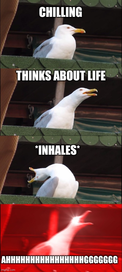 Life be like | CHILLING; THINKS ABOUT LIFE; *INHALES*; AHHHHHHHHHHHHHHHHGGGGGGG | image tagged in memes,inhaling seagull | made w/ Imgflip meme maker