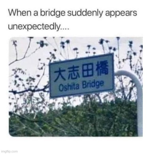 Oshita Bridge | image tagged in repost | made w/ Imgflip meme maker