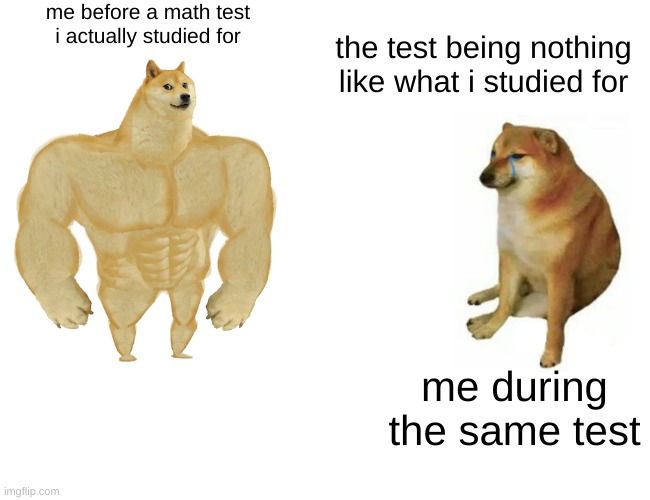 Buff Doge vs. Cheems | me before a math test i actually studied for; the test being nothing like what i studied for; me during the same test | image tagged in memes,buff doge vs cheems | made w/ Imgflip meme maker