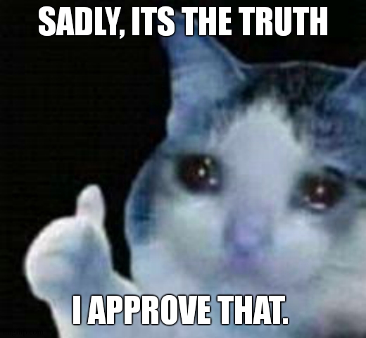 Approved crying cat | SADLY, ITS THE TRUTH I APPROVE THAT. | image tagged in approved crying cat | made w/ Imgflip meme maker