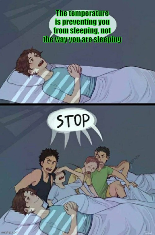 Sleepover Stop | The temperature is preventing you from sleeping, not the way you are sleeping | image tagged in sleepover stop | made w/ Imgflip meme maker