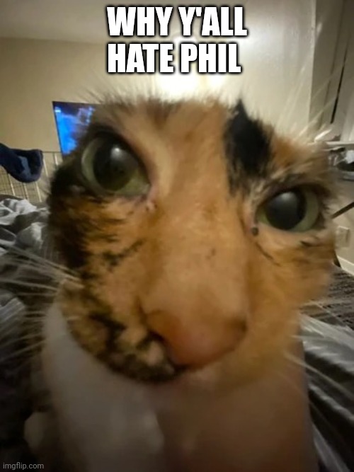 Jonquavius John Jingle Jang Joogle Gloop the 3rd | WHY Y'ALL HATE PHIL | image tagged in jonquavius john jingle jang joogle gloop the 3rd | made w/ Imgflip meme maker