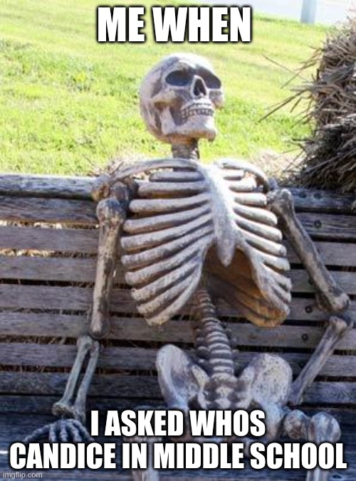 im dead bru | ME WHEN; I ASKED WHOS CANDICE IN MIDDLE SCHOOL | image tagged in memes,waiting skeleton,fun | made w/ Imgflip meme maker