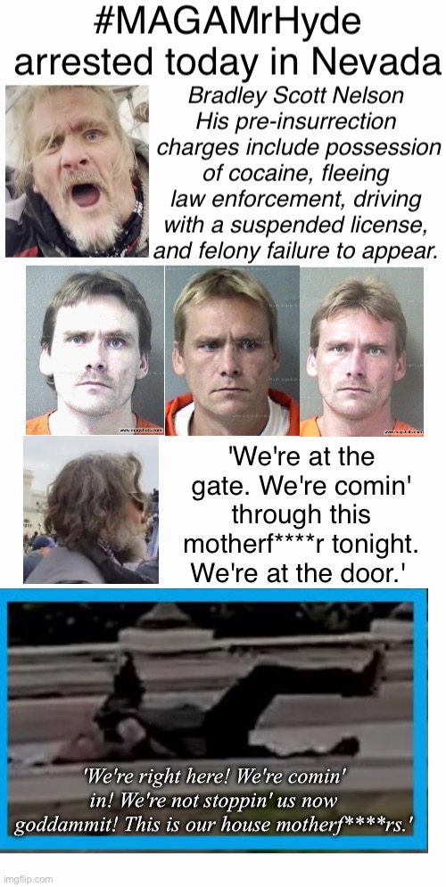 Such Fine Tourists | image tagged in why hyde from fbi,domestic terrorists,druggie,fleedumb fighter,traitor,ugly american | made w/ Imgflip meme maker