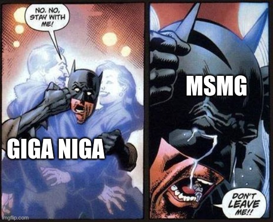 a moment of respects for that dude | MSMG; GIGA NIGA | image tagged in batman don't leave me | made w/ Imgflip meme maker