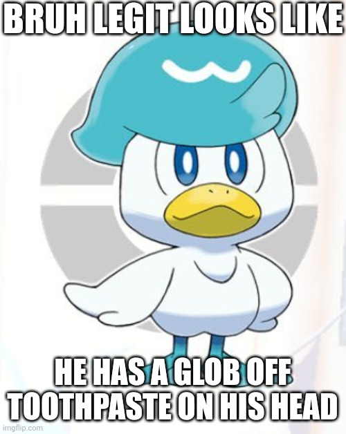 Quaxly | BRUH LEGIT LOOKS LIKE; HE HAS A GLOB OFF TOOTHPASTE ON HIS HEAD | image tagged in quaxly,pokemon,nintendo,memes | made w/ Imgflip meme maker