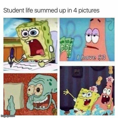 image tagged in memes,funny | made w/ Imgflip meme maker