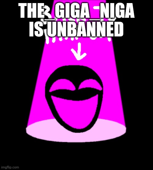 Back to that guy E-142 version | THE_GIGA_NIGA IS UNBANNED | image tagged in back to that guy e-142 version | made w/ Imgflip meme maker