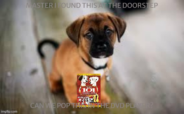 aww i still could never say no | MASTER I FOUND THIS AT THE DOORSTEP; CAN WE POP THIS IN THE DVD PLAYER? | image tagged in cute dog,disney,dogs,101 dalmatians | made w/ Imgflip meme maker