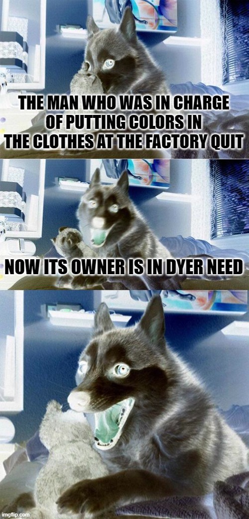 *insert trollface here* | THE MAN WHO WAS IN CHARGE OF PUTTING COLORS IN THE CLOTHES AT THE FACTORY QUIT; NOW ITS OWNER IS IN DYER NEED | image tagged in memes,bad pun dog | made w/ Imgflip meme maker