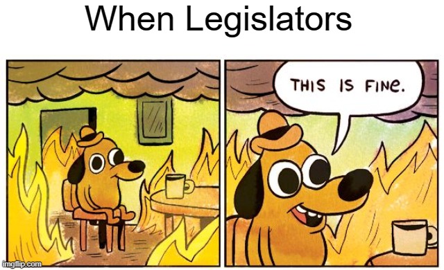 This Is Fine | When Legislators | image tagged in memes,this is fine | made w/ Imgflip meme maker