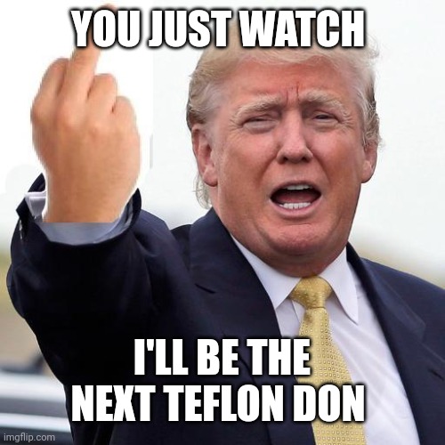 Donald Trump middle finger | YOU JUST WATCH I'LL BE THE NEXT TEFLON DON | image tagged in donald trump middle finger | made w/ Imgflip meme maker