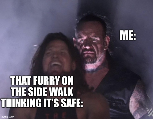 undertaker | ME:; THAT FURRY ON THE SIDE WALK THINKING IT’S SAFE: | image tagged in undertaker | made w/ Imgflip meme maker