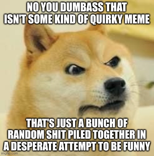angry doge | NO YOU DUMBASS THAT ISN'T SOME KIND OF QUIRKY MEME THAT'S JUST A BUNCH OF RANDOM SHIT PILED TOGETHER IN A DESPERATE ATTEMPT TO BE FUNNY | image tagged in angry doge | made w/ Imgflip meme maker