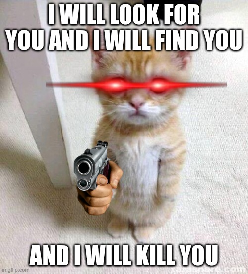 Cute Cat Meme | I WILL LOOK FOR YOU AND I WILL FIND YOU; AND I WILL KILL YOU | image tagged in memes,cute cat | made w/ Imgflip meme maker