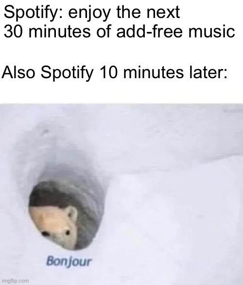 I love spotify as much as the next guy but WHY | Spotify: enjoy the next 30 minutes of add-free music; Also Spotify 10 minutes later: | image tagged in bonjour | made w/ Imgflip meme maker