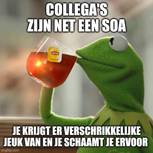 But That's None Of My Business | COLLEGA'S ZIJN NET EEN SOA; JE KRIJGT ER VERSCHRIKKELIJKE JEUK VAN EN JE SCHAAMT JE ERVOOR | image tagged in memes,kermit the frog | made w/ Imgflip meme maker