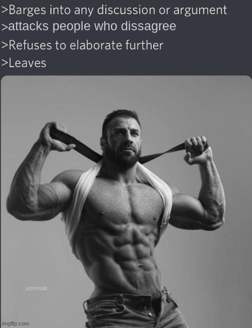 Chad Barges into discussion | attacks people who dissagree | image tagged in chad barges into discussion | made w/ Imgflip meme maker