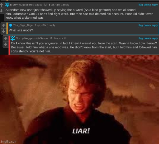 It's not him. | image tagged in anakin liar | made w/ Imgflip meme maker