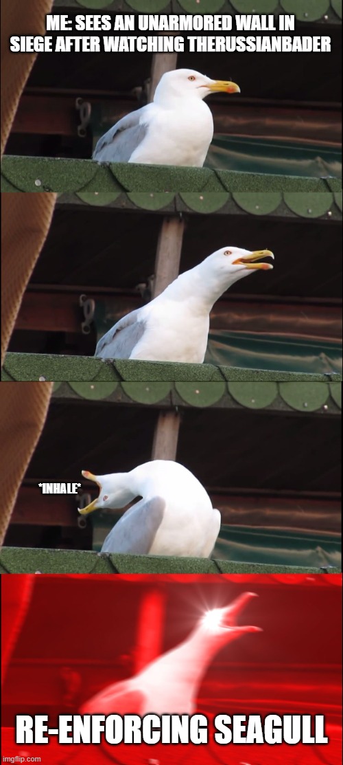 RE-ENFORCING SEAGULL | ME: SEES AN UNARMORED WALL IN SIEGE AFTER WATCHING THERUSSIANBADER; *INHALE*; RE-ENFORCING SEAGULL | image tagged in memes,inhaling seagull | made w/ Imgflip meme maker