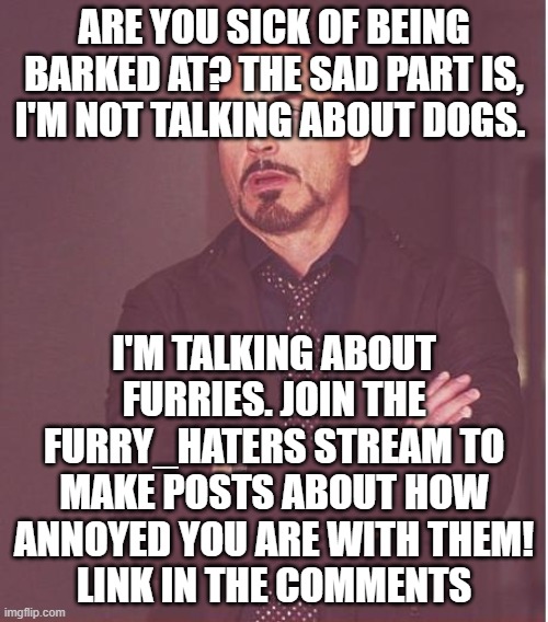 Face You Make Robert Downey Jr | ARE YOU SICK OF BEING BARKED AT? THE SAD PART IS, I'M NOT TALKING ABOUT DOGS. I'M TALKING ABOUT FURRIES. JOIN THE FURRY_HATERS STREAM TO MAKE POSTS ABOUT HOW ANNOYED YOU ARE WITH THEM!
LINK IN THE COMMENTS | image tagged in memes,face you make robert downey jr,furry_haters,ergh,stupid dog,why are you reading the tags | made w/ Imgflip meme maker