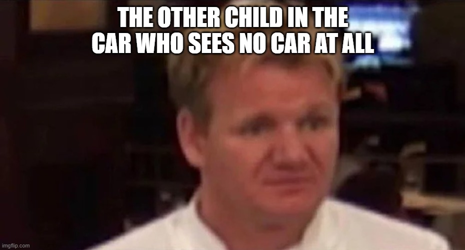 Disgusted Gordon Ramsay | THE OTHER CHILD IN THE CAR WHO SEES NO CAR AT ALL | image tagged in disgusted gordon ramsay | made w/ Imgflip meme maker