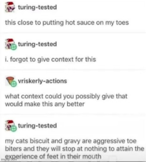 WHY | image tagged in why,cats,toes,sauce | made w/ Imgflip meme maker