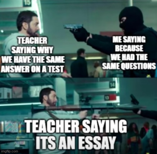 School | image tagged in school,middle school,essay | made w/ Imgflip meme maker