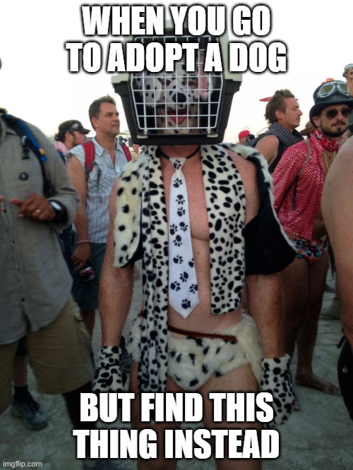 Burning Man Dog Cage Costume | WHEN YOU GO TO ADOPT A DOG; BUT FIND THIS THING INSTEAD | image tagged in burning man dog cage costume,stupid,why are you reading the tags | made w/ Imgflip meme maker