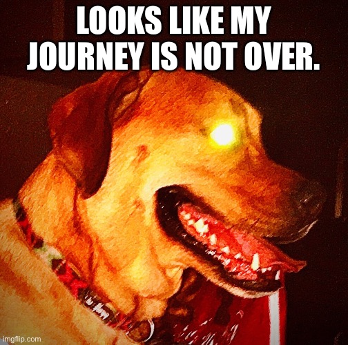 Then Perish Pupper | LOOKS LIKE MY JOURNEY IS NOT OVER. | image tagged in then perish pupper | made w/ Imgflip meme maker