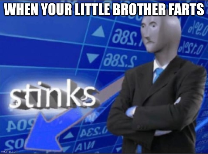 When ur little brother farts | WHEN YOUR LITTLE BROTHER FARTS | image tagged in stinks | made w/ Imgflip meme maker